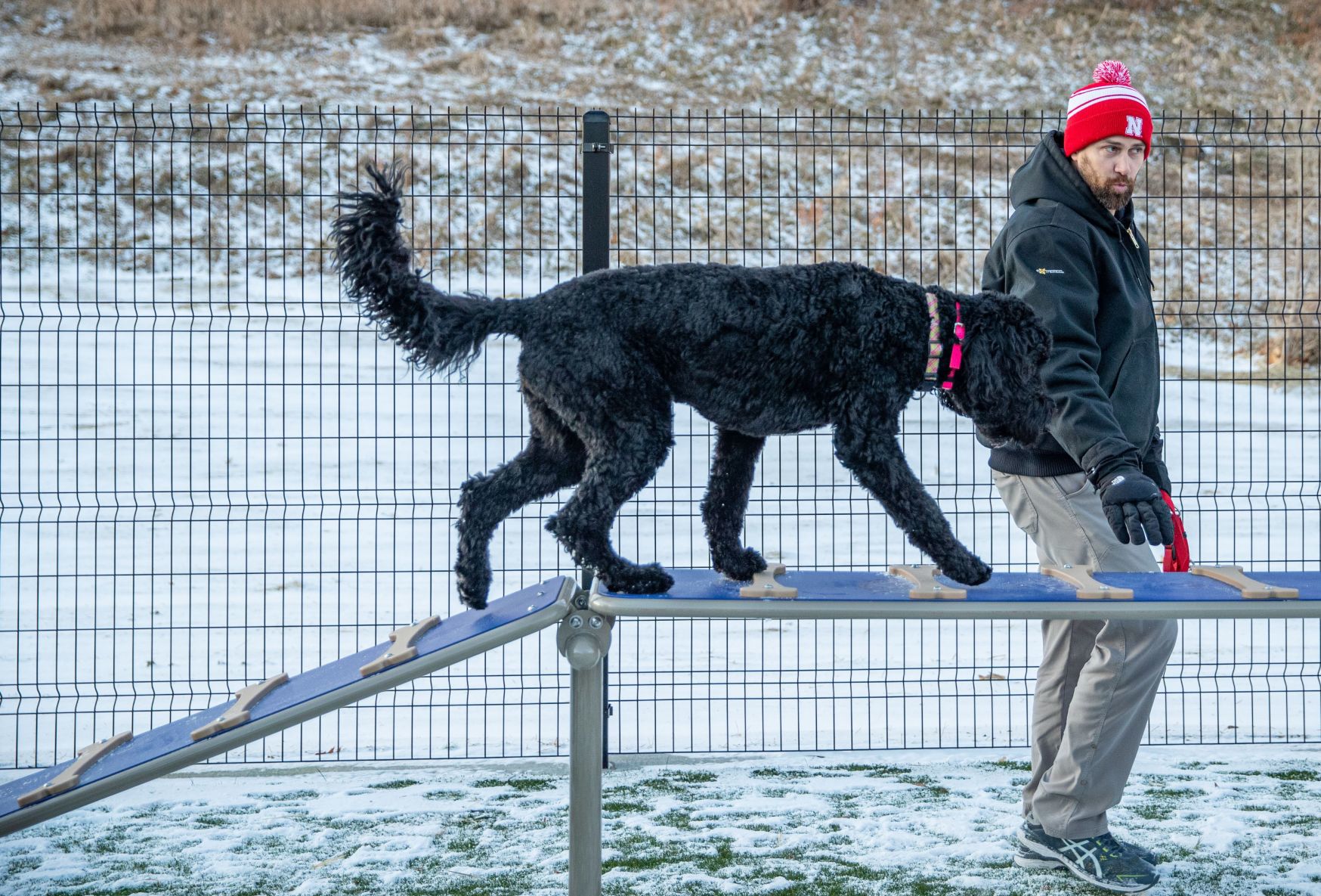 20191210_new_dogpark_05kw